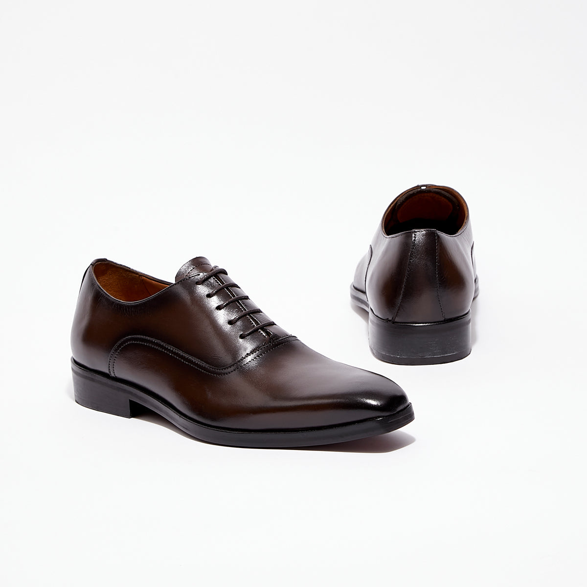 Leo - Marron