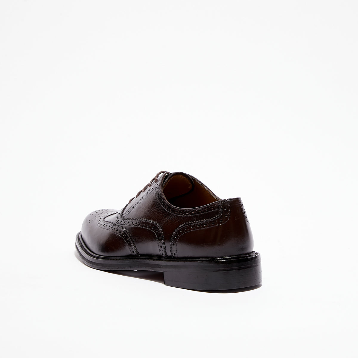 Tristan - Marron