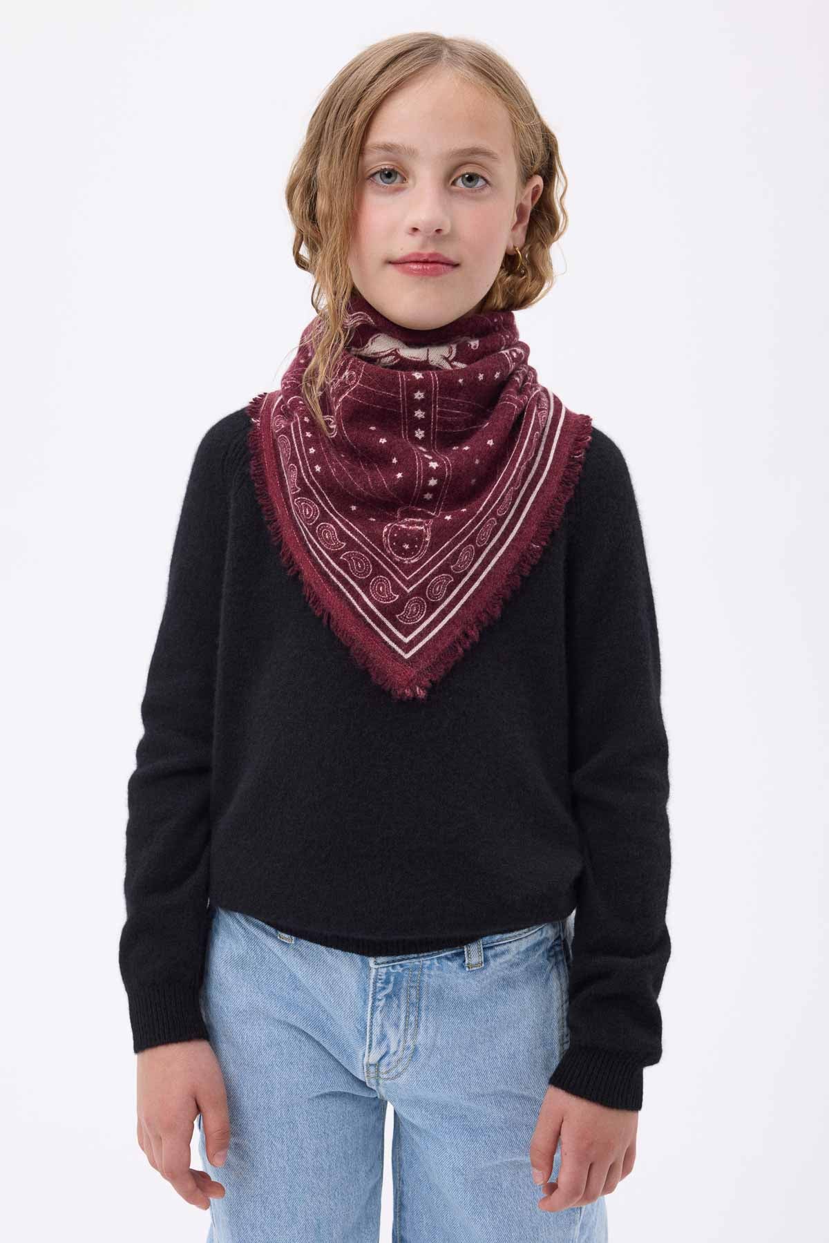 Bandana Small Le Harnais bordeaux blanc