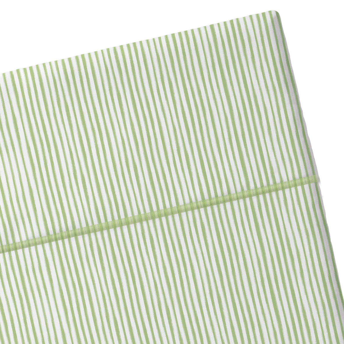 Drap plat satin de coton Traits peints