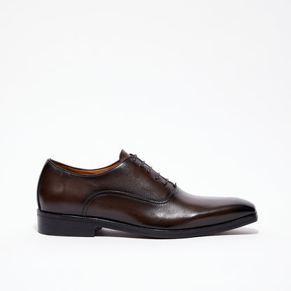 Leo - Marron