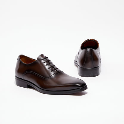 Leo - Marron