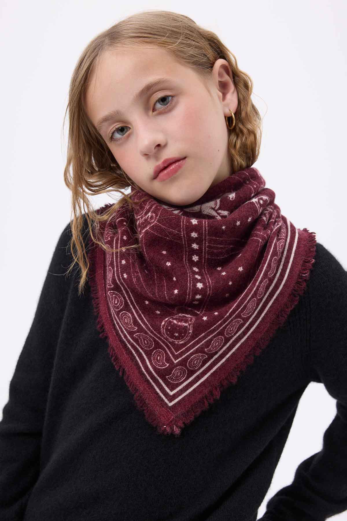 Bandana Small Le Harnais bordeaux blanc