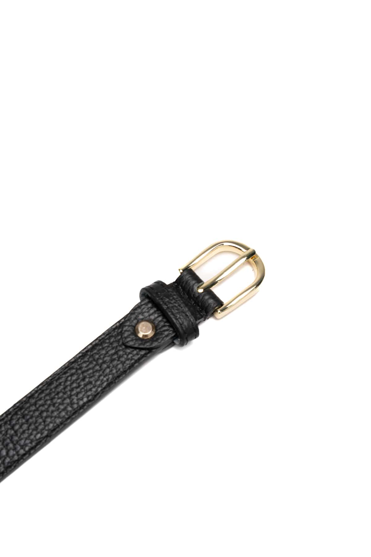 Avanti Graine Noir