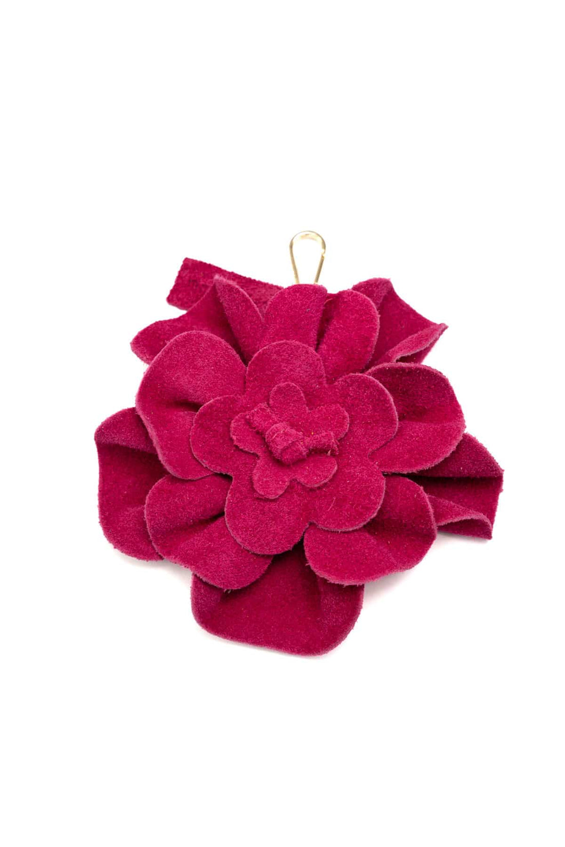 Lini Fushia
