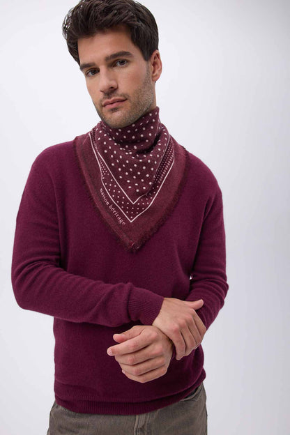 Bandana Small Heritage Pois bordeaux blanc