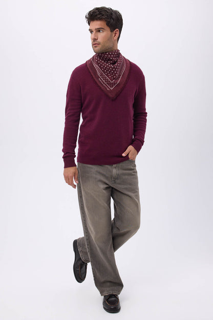Bandana Small Heritage Pois bordeaux blanc